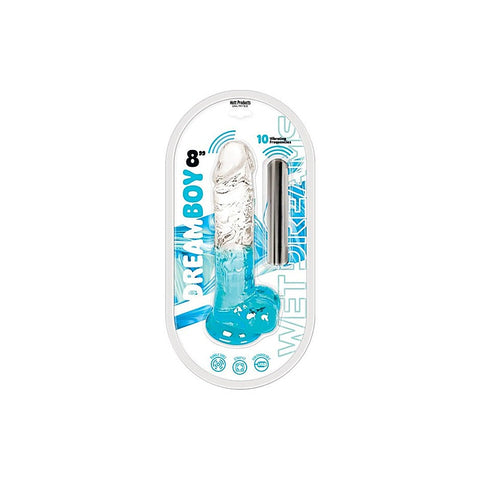 Dream Boy 8 Inch USB Rechargeable Dildo by Hott Products