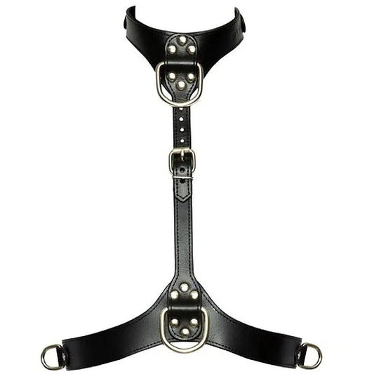 Bad Kitty Adjustable Chest Bondage Harness by Orion