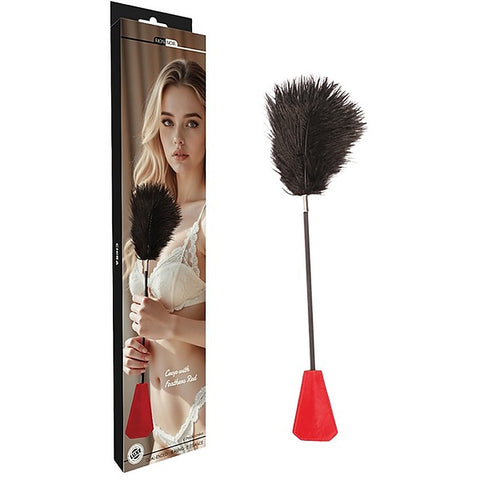 Dual-Ended Feather Crop Paddle Smooth Texture by Chisa