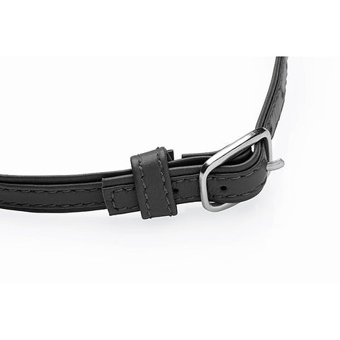 Master Series Sex Pet Leather Choker by XR Brands