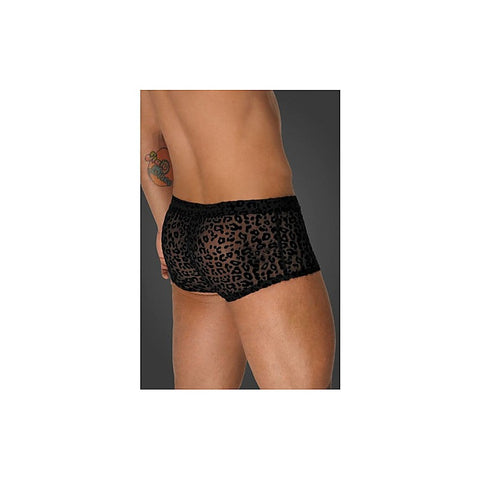 Leopard Flock Short Shorts by Noir Handmade