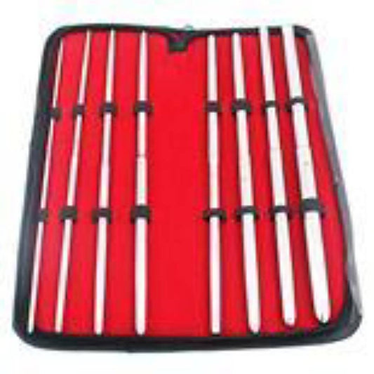 Pratt 8 Pieces Double Ended Urethral Dilator Set by BDStyle