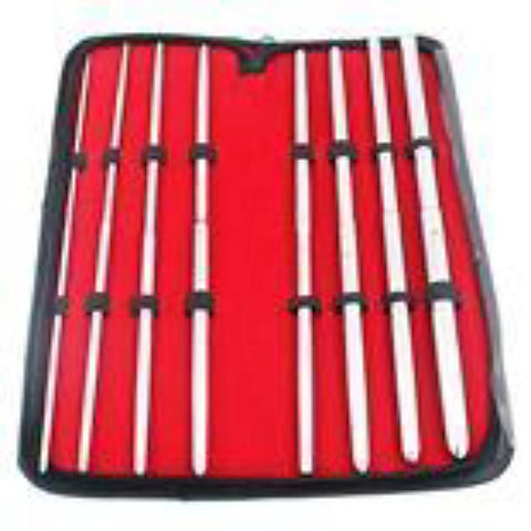 Pratt 8 Pieces Double Ended Urethral Dilator Set by BDStyle