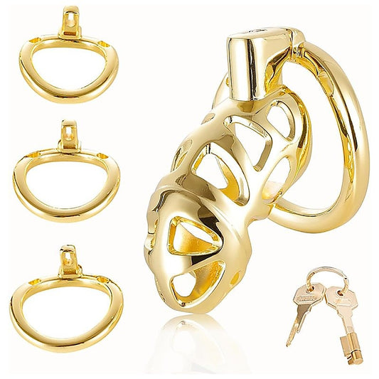 Male Chastity Cage with 3 Active Sizes Rings by BDStyle