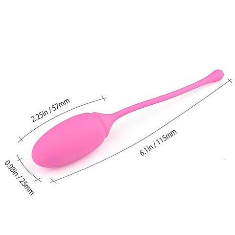 Deluxe Kegel Exerciser System by BDStyle