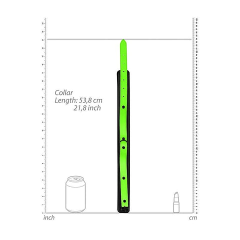 OUCH! Glow in Dark Collar and Leash by Shots Toys