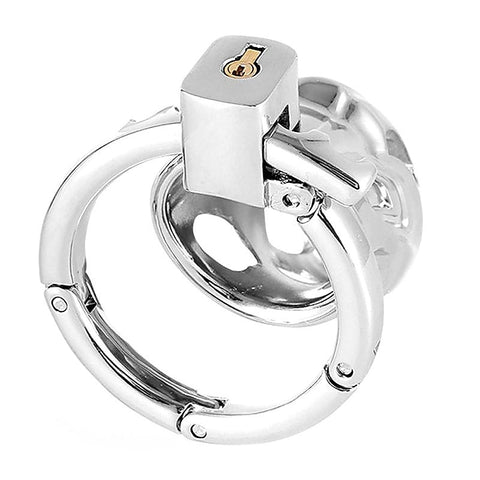 Adjustable Ring and Invisible Vertical Lock Cock Cage