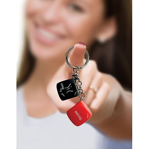 Super Fun Erotic Sex Dice Novelty Key Chain by Little Genie