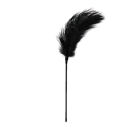 Bondage Play Feather Tickler by Easytoys