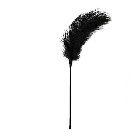 Bondage Play Feather Tickler by Easytoys