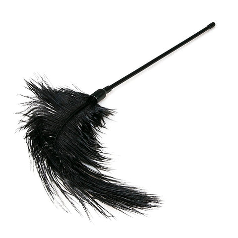 Bondage Play Feather Tickler by Easytoys