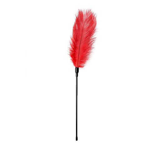 Bondage Play Feather Tickler by Easytoys