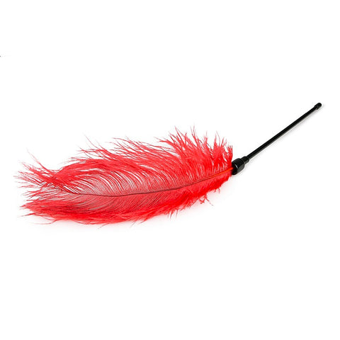 Bondage Play Feather Tickler by Easytoys