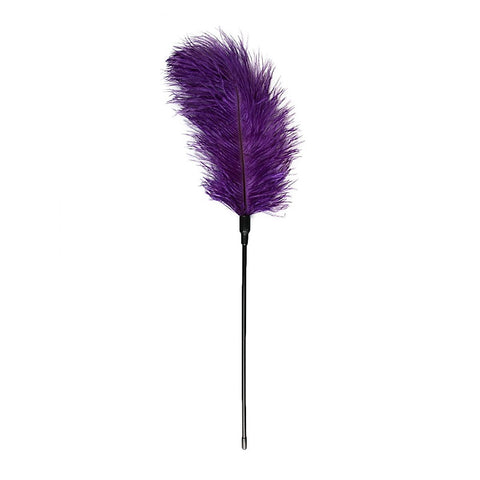 Bondage Play Feather Tickler by Easytoys