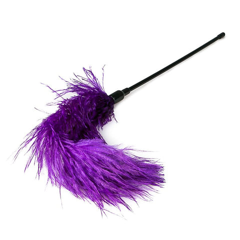 Bondage Play Feather Tickler by Easytoys