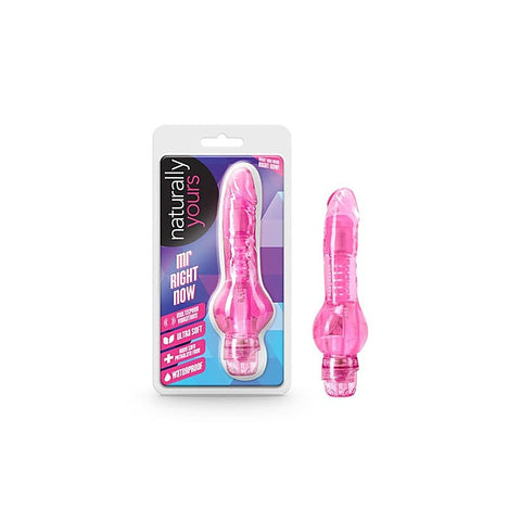 Mr Right Now Vibrating Dildo by Blush Novelties