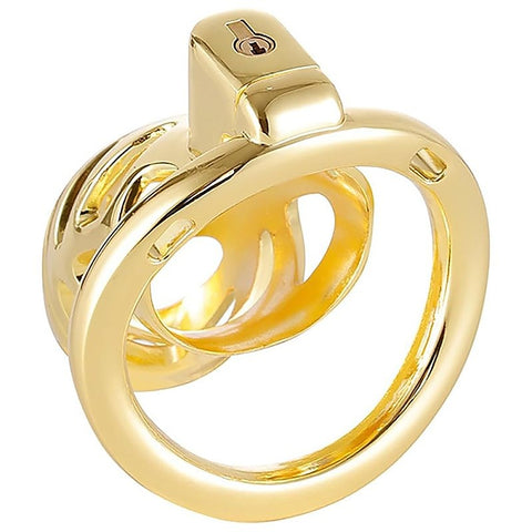 Gold Chastity Cage by BDStyle