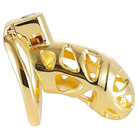 Gold Chastity Cage by BDStyle