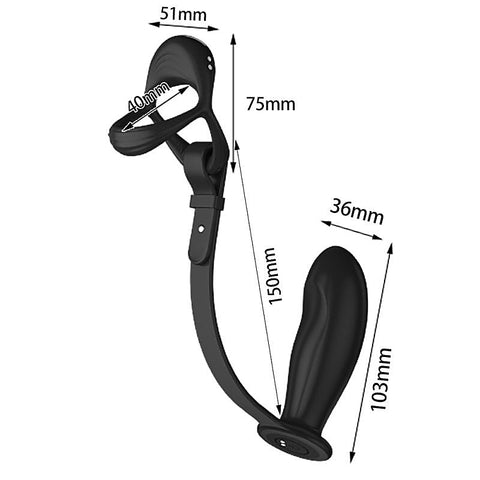 Vibrating Cock and Ball Ring With Prostate Plug by BDStyle