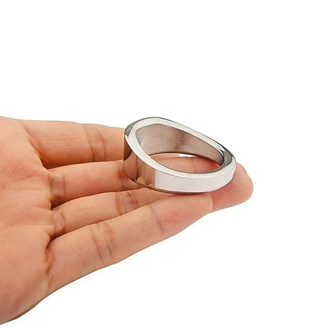 Stainless Steel Chrome Rooster Penis Ring by BDStyle