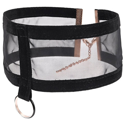 S&M Sheer Day Collar by Sportsheets