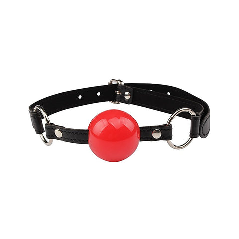 Behave Dominate Tonight Adjustable S&M Kit by Chisa