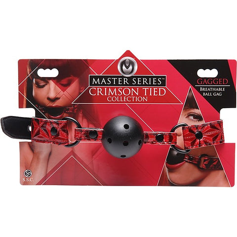 Master Series Tied Breathable Fetish Play Ball Gag