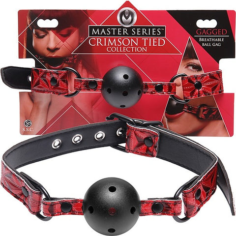 Master Series Tied Breathable Fetish Play Ball Gag