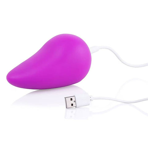 Scoop 20 Functions Rechargeable Massager by Screaming O