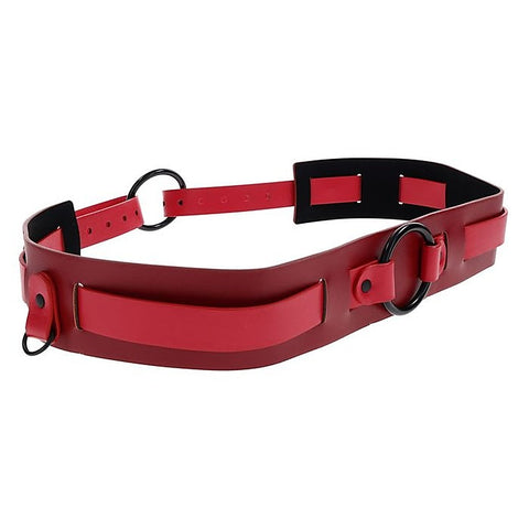 S&M Exs & Ohs Bound and Belted BDSM Collar by Sportsheets