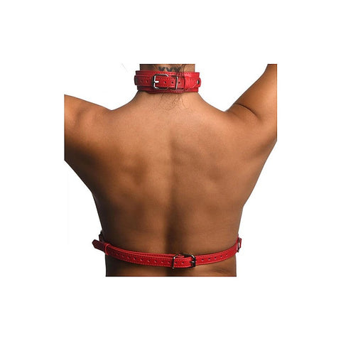 Strict Vegan Leather Female Chest Harness by XR Brands