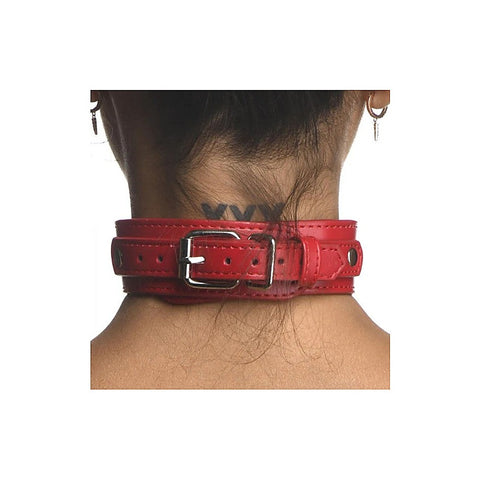 Strict Vegan Leather Female Chest Harness by XR Brands