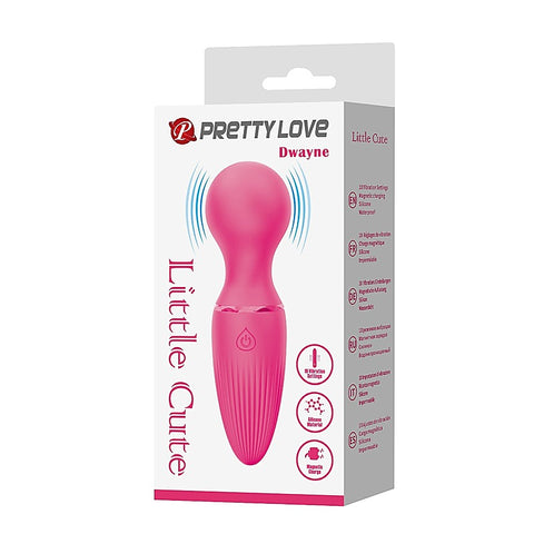 Pretty Love Dwayne Mini Body Wand Massager by Baile