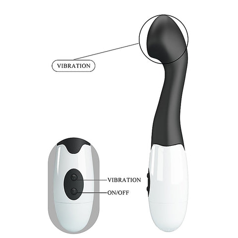 Pretty Love Charles 30 Functions G Spot Vibrator by Baile