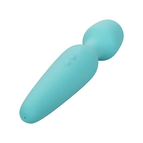 They-ology Vibrating Intimate Wand Massager
