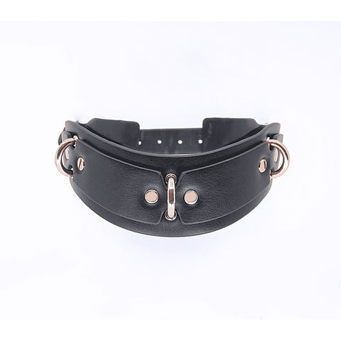 Posture BDSM Collar With Rings by Love In Leather