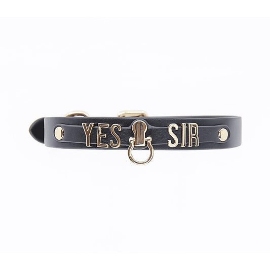 Yes Sir BDSM Play Collar by Love In Leather