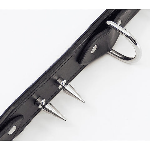 BDSM Collar With Long Spikes by Love In Leather