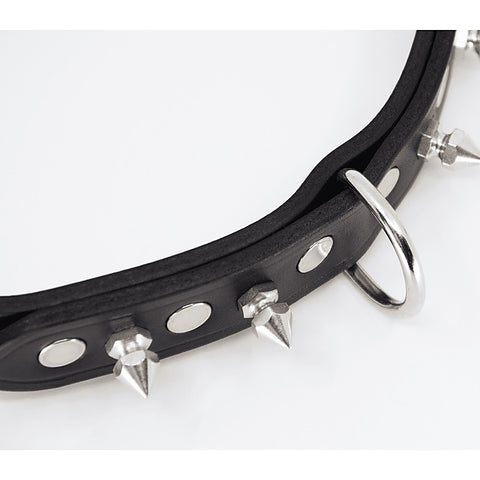 BDSM Collar With Short Dog Spikes by Love In Leather