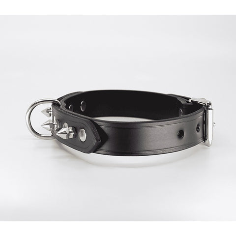 BDSM Collar With Short Dog Spikes by Love In Leather