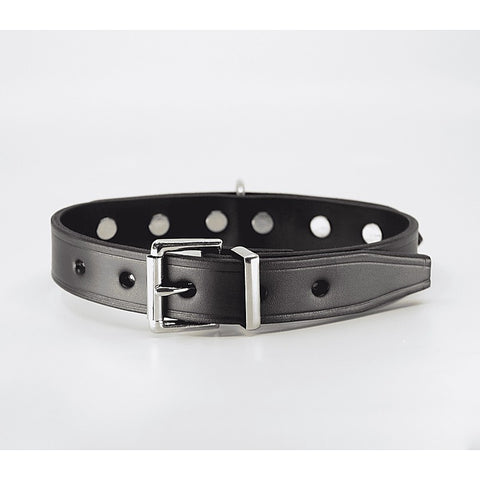BDSM Collar With Short Dog Spikes by Love In Leather