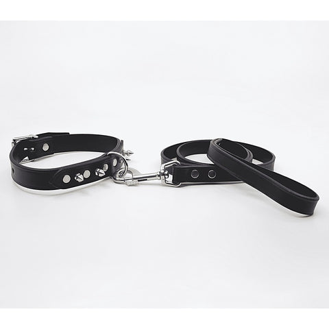 BDSM Collar With Short Dog Spikes by Love In Leather