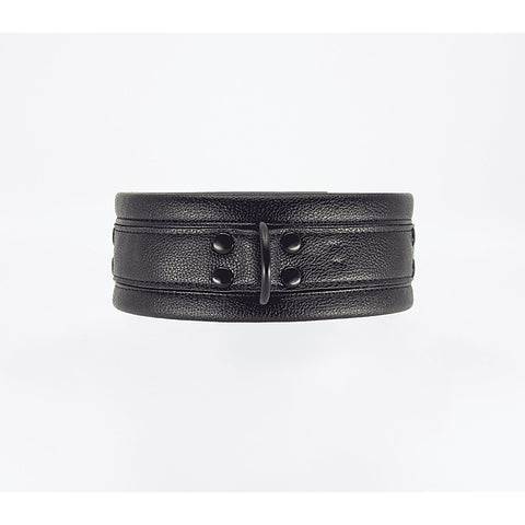 Faux Leather Collar & Lead Set by Love In Leather