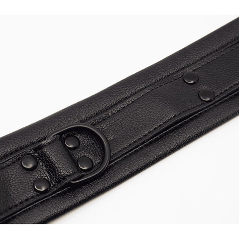 Faux Leather Collar & Lead Set by Love In Leather