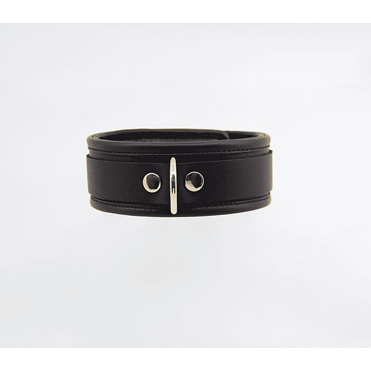 Fetish Collar with Coloured Hardware by Love In Leather