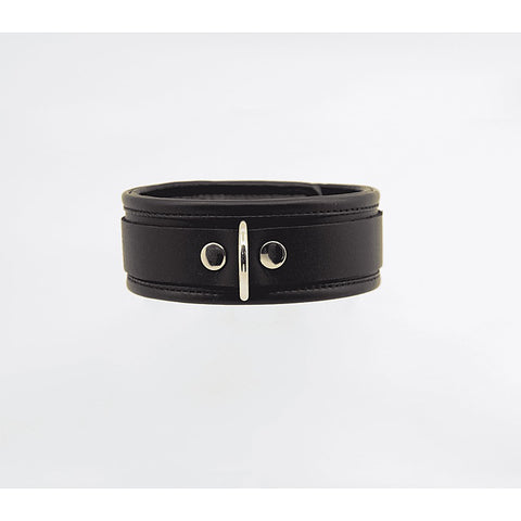 Fetish Collar with Coloured Hardware by Love In Leather