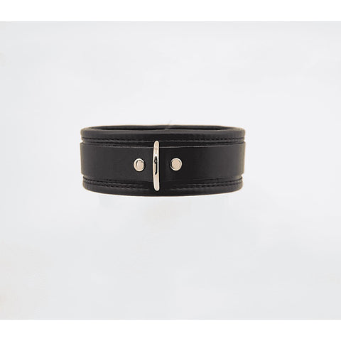 Fetish Collar with Coloured Hardware by Love In Leather
