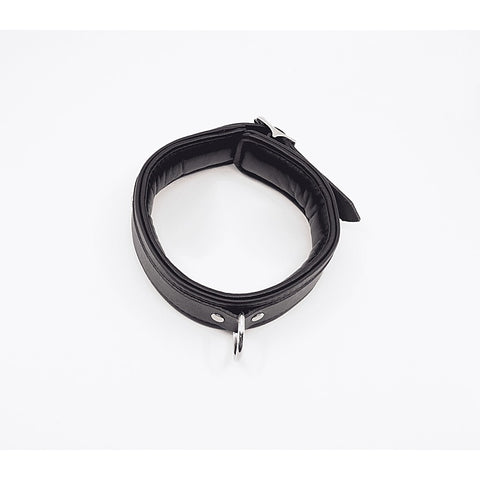 Fetish Collar with Coloured Hardware by Love In Leather
