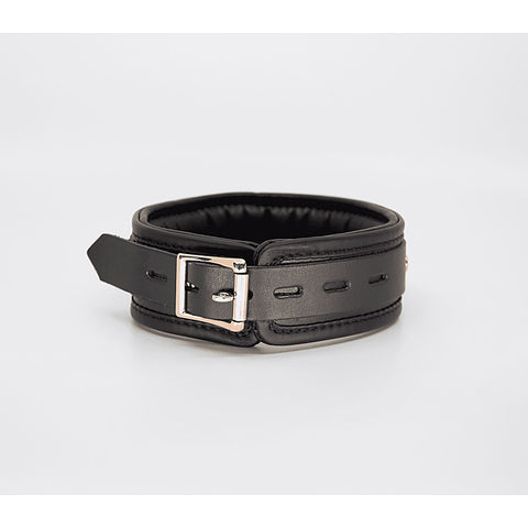 Fetish Collar with Coloured Hardware by Love In Leather
