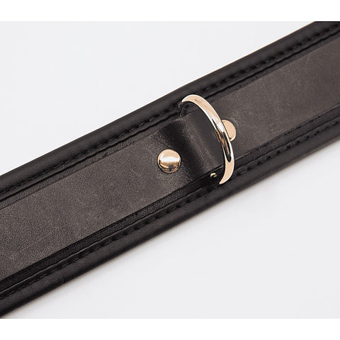 Fetish Collar with Coloured Hardware by Love In Leather